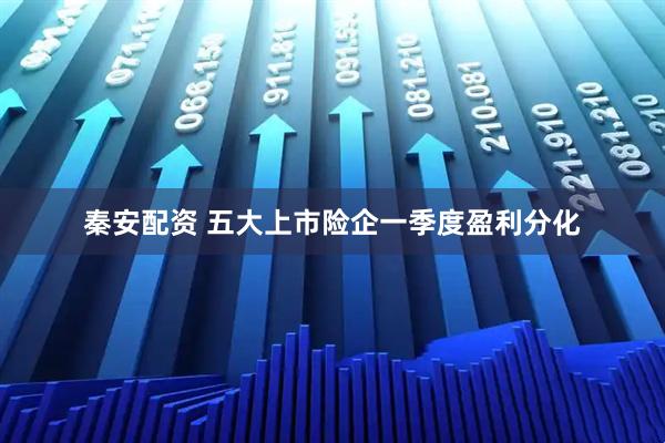 秦安配资 五大上市险企一季度盈利分化