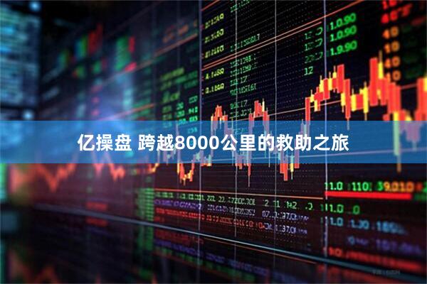 亿操盘 跨越8000公里的救助之旅