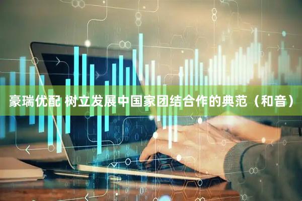 豪瑞优配 树立发展中国家团结合作的典范（和音）