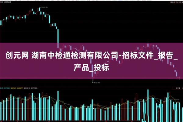 创元网 湖南中检通检测有限公司-招标文件_报告_产品_投标