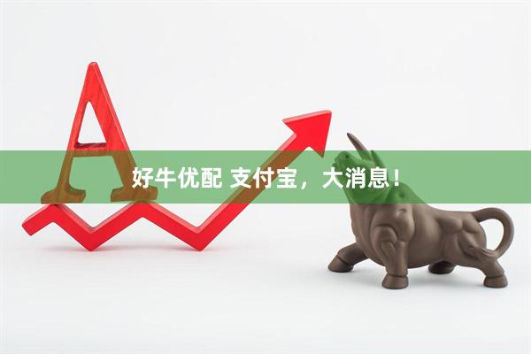 好牛优配 支付宝，大消息！