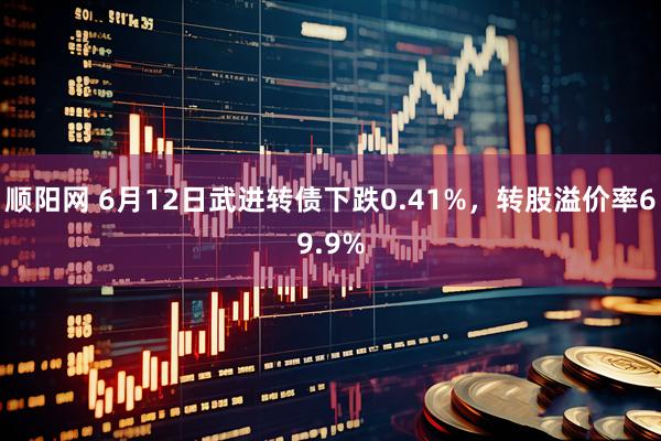 顺阳网 6月12日武进转债下跌0.41%，转股溢价率69.9%