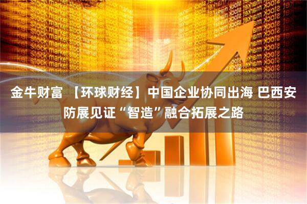 金牛财富 【环球财经】中国企业协同出海 巴西安防展见证“智造”融合拓展之路