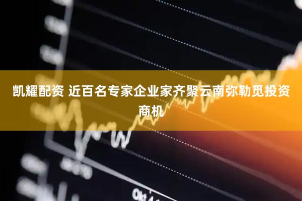 凯耀配资 近百名专家企业家齐聚云南弥勒觅投资商机