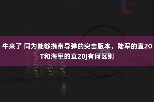 牛来了 同为能够携带导弹的突击版本，陆军的直20T和海军的直20J有何区别